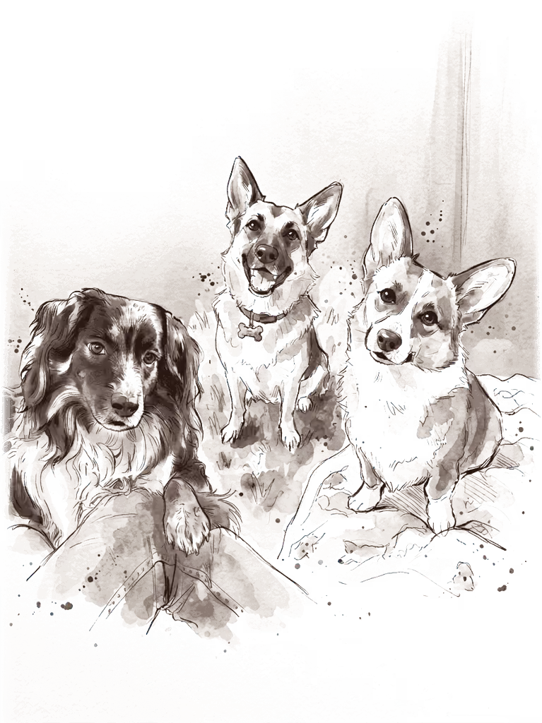 Emily & Christian's doggies illustration - Right